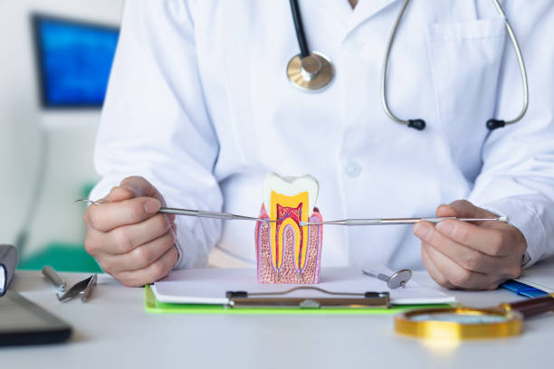 Best Emergency Dentist for Lost Fillings or Crowns in Enon, OH